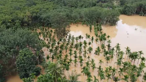 น้ำท่วม อ.เมืองตราด-เขาสมิง น่าห่วง 3 ตำบลอ่วม ระดับน้ำสูงและขยายวงกว้าง (คลิป)