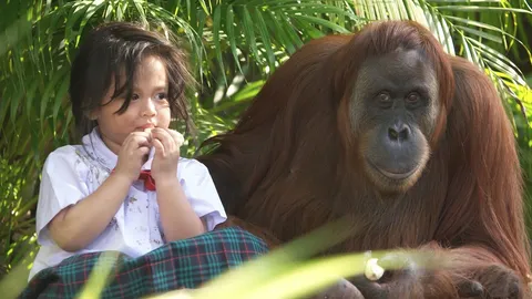 บุกป่าหา "แม่มา" เปิดฉากแรก "ธิดาวานร" สุดระทึก "ปิ่น" หนีตายเสี่ยงตกหน้าผา