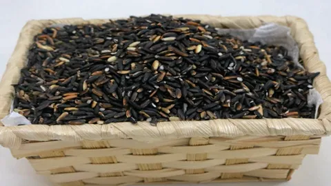 สีย้อมอสุจิจากข้าวเหนียวดำ ลดการนำเข้า..หนึ่งเดียวในโลก