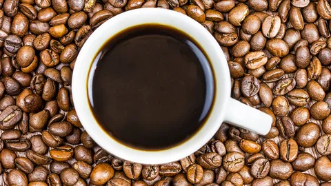 นักวิทยาศาสตร์ห้องแล็บในฟินแลนด์ เพาะเมล็ดกาแฟแบบใหม่