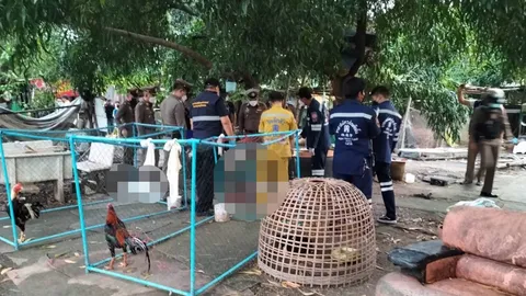 ยิง 2 ศพ คาซุ้มไก่ชนที่ปากเกร็ด เหตุจาก "ไก่ไปจิกกินผัก"