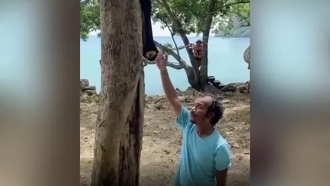 หาชมยาก "พญากระรอกดำ" โผล่โชว์ตัวนักท่องเที่ยว ที่อ่าวไร่เลย์ (คลิป)