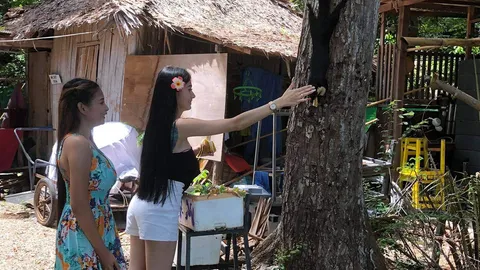 เปิดภาพชัดๆ "พญากระรอกดำ" ดาวเด่นบนอ่าวไร่เลย์ 