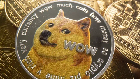 ตลาดคริปโต "เหรียญหมา" มาแรง "ชิบะ" ไล่ตาม "ดอจคอยน์"