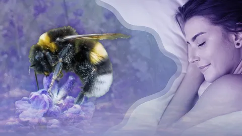 ฝันเห็นผึ้ง หมายถึงอะไร 