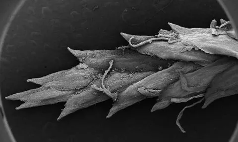 โลกาภิวัตน์ 14/12/54