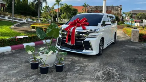 "พี่มีรถ ผมมีต้นไม้" หนุ่มเผยภาพนำ "บอนหูช้างด่างขาว" แลกรถยนต์ 1 คัน