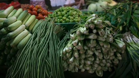 รัฐบาลวิ่งสู่ฟัดแก้ปัญหาผักแพง “บิ๊กตู่” ไฟเขียวใช้ที่ทหารปลูกผักชีหวังช่วยกดราคา