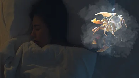 ทำนายฝัน ฝันว่าเห็นปู มีความหมายอย่างไร พร้อมเลขเด็ด