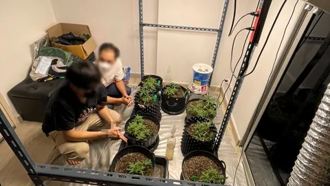 จับ 2 บัณฑิต “เพาะกัญชา” ขายเฟซบุ๊ก อ้างตกงาน