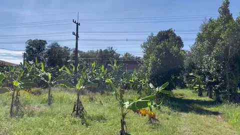 เพื่อนบ้านเสียดายที่ดินลุงเจ๊กขายถูก เชื่อโดนหลอกเพราะเฟซบุ๊ก