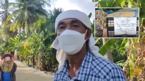 ผู้ใหญ่บ้าน ขอจบดราม่า เมียและชาวบ้านตากข้าวบนถนน ยอมถอย เหลือเลนเดียว