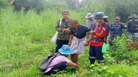 ตาวัย 64 หลงป่าภูกระดึง 4 วัน ก่อนโซเซออกป่ามาได้ บอกเหมือนอะไรมาบังตา