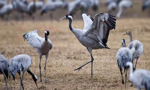 โลกาภิวัตน์ 20/12/54