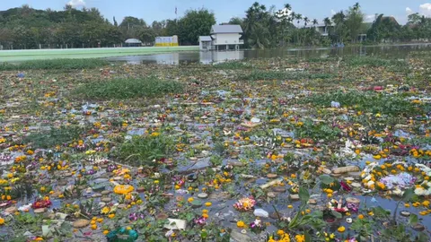 ชลประทานเชียงใหม่เผย เก็บซากกระทงปีนี้รวม 25 ตัน 99% เป็นวัสดุธรรมชาติ (คลิป)