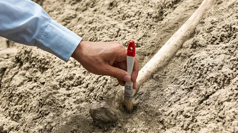 พบฟอสซิลกะโหลกไดโนเสาร์สายพันธุ์ใหม่ ที่มีจมูกใหญ่มาก