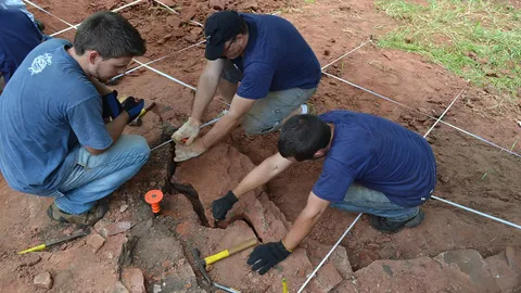 ซากดึกดำบรรพ์ไดโนเสาร์ ขนาดเท่าสุนัขไม่มีฟันในบราซิล