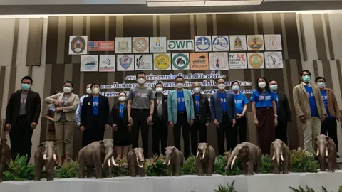 “โคราช” จัดงาน ฟอสซิลเฟสติวัล “ครบ 100 ปี อนุรักษ์ไม้กลายเป็นหินและช้างไทย”