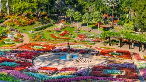 งาน “สีสันแห่งดอยตุง” แค่ “เขียนถึง” ก็มีความสุข