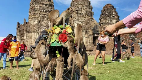 โต๊ะจีนลิง ใช้รถวีลแชร์บริจาค "ผู้ป่วย" วานรพุงกาง คนแห่ดูแน่น (คลิป)