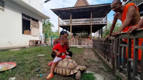 ชาวบ้านลุ้นโชคจากเต่ายักษ์วัดหนองสีนวล นครสวรรค์ ด้านคู่หูมี 2 ตัวเด็ด (คลิป)