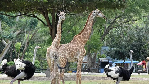 สมาชิกใหม่