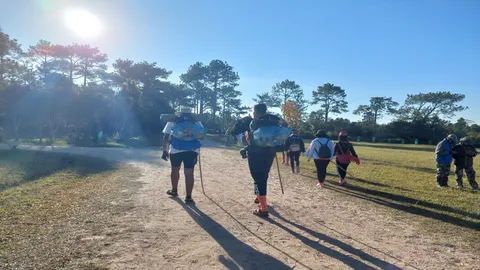 "ภูกระดึง" หนาว 6 องศา แม่คะนิ้งโผล่รับ นทท.ช่วงหยุดยาววันพ่อ