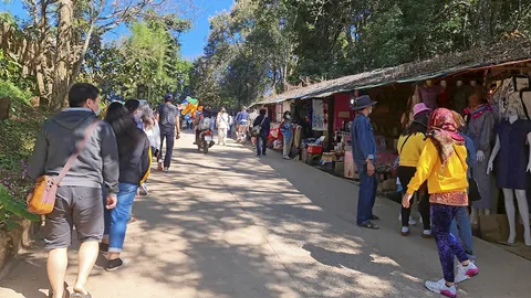 เหนือยะเยือก แห่โต้ลมหนาว ยอดดอย-บนภู (คลิป)