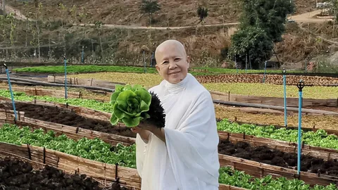 ศิษยานุศิษย์อาลัย "แม่ชีศันสนีย์" ผู้ก่อตั้งเสถียรธรรมสถาน คืนสู่ธรรมชาติอย่างสงบ