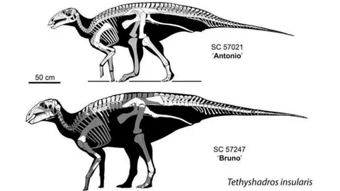 ไดโนเสาร์ที่ให้ภาพใหม่เมดิเตอร์เรเนียนยุคโบราณ