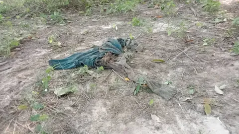 ช้างป่าดุลงหาอาหาร ก่อนพบหนุ่มกรีดยาง วิ่งไล่กระทืบร่างเละดับ