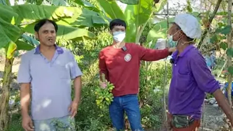 สดชื่นปลายปี