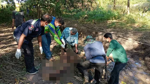 เหยื่อช้างป่า 