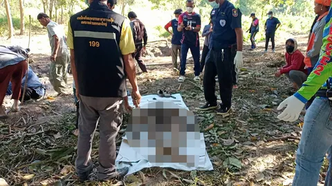 ช้างป่ารุมฉีกร่างคนงานสวนยาง จับพลายตกมันยิงยาสลบสยบ