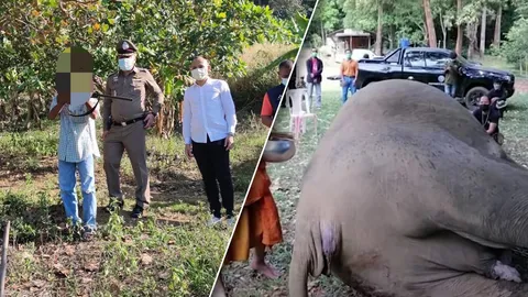 จับได้แล้ว คนร้ายยิงช้างป่าตายทั้งกลม อ้างช้างจะทำร้ายเลยซัดด้วยลูกซอง