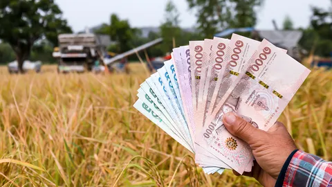 เคาะจ่ายส่วนต่างประกันรายได้ข้าว “ข้าวเปลือกเจ้า” ยังคงได้รับเงินสูงสุด
