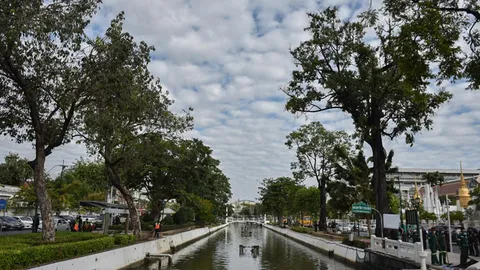 ฟื้นฟูตะเคียนโบราณ 200 ปี ริมคลองหลอดหน้าวัดราชบพิธ-กทม.ร่วมมือเครือข่าย