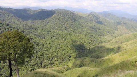 อช.แม่วงก์ เปิด โยเซมิตีเมืองไทย ชมทิวเขาชีวิตสัตว์ป่า-บ้านเสือโคร่ง