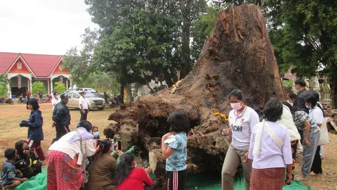 แห่ขอเลขเด็ด ตะเคียนอายุกว่า 200 ปี เข้าฝันชาวบ้าน ให้ช่วยพาขึ้นจากน้ำ (คลิป)