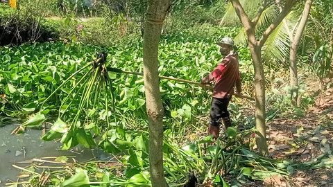 จากผักตบชวาไร้ราคา สู่ผลิตภัณฑ์แฟชั่นผ้ามีแบรนด์