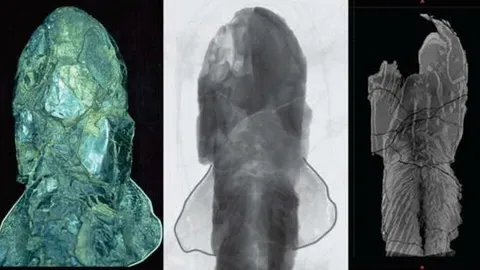 สมองปลาโบราณจากควีนส์แลนด์ ชี้การดัดแปลงสู่ชีวิตบนบก