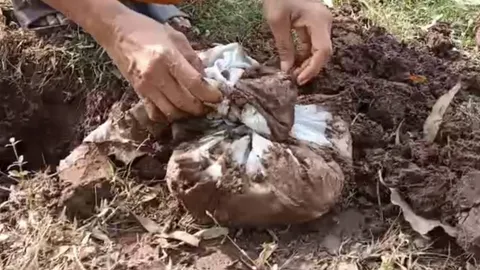 ขุดพบกระดูกคน-ของใช้โบราณ เจ้าของที่เจอเรื่องประหลาดทุกวันพระ 15 ค่ำ (คลิป)