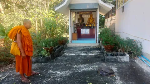 เชื่องูเหลือมเจ้าที่ เจ็บหนัก เลื้อยมาขดหน้าศาลปู่ชีวกฯ คอหวยไม่พลาดตีเลขเด็ด (คลิป)