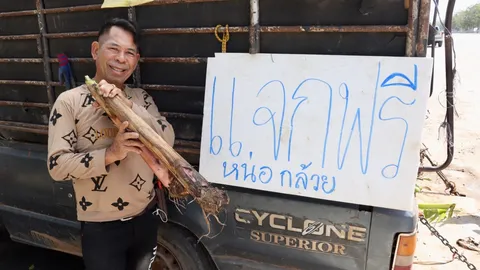 "เสี่ยชัช สายเปย์" ขุดหน่อกล้วยไข่ 1,000 หน่อ แจกแฟนคลับเป็นของขวัญปีใหม่ (คลิป)