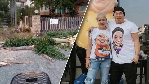 เมียโหน่ง ชะชะช่า เปิดสภาพบ้าน หลังมีแขกมาเยือน ต้นไม้หักพังเสียหาย