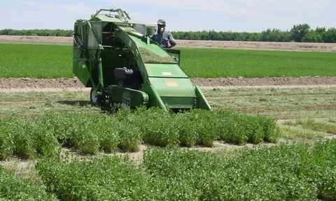 โลกาภิวัตน์ 04/01/54