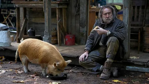 “นิโคลัส เคจ” ปลุกความคลั่งเดือดครั้งใหม่ในหนัง “PIG หมูข้าหาย กับความหมายของชีวิต”