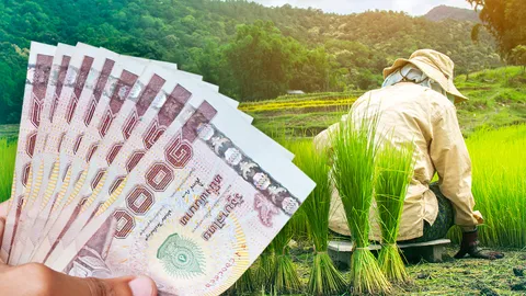 ปี 64 เกษตรกรไทยมีทรัพย์สิน-หนี้สินครัวเรือนเพิ่ม