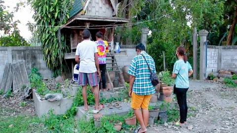 แห่ขอ "เลขเด็ด" ศาลพ่อปู่ขุนแผน ที่พบดวงไฟประหลาดบนต้นโพธิ์เก่าแก่