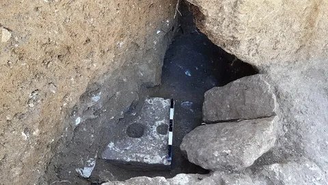 ซากไข่ปรสิตในลำไส้อายุ 2,700 ปี พบที่ใต้ส้วมซึมโบราณ